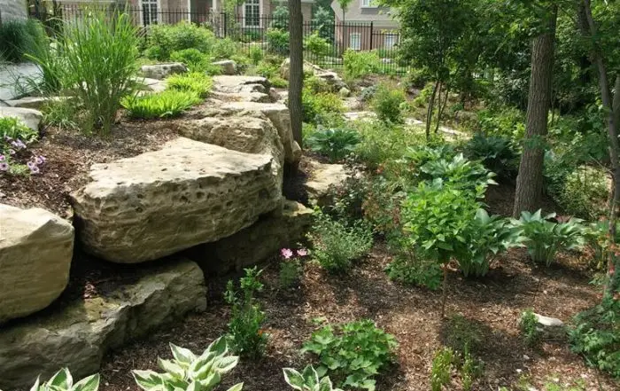 mulch