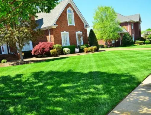 Create a Better Lawn with Top Dressing