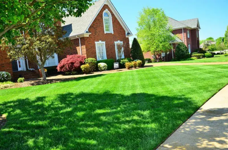 Well manicured lawn